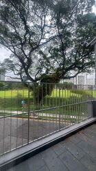 Race Course Rd/Owen Road Conservation Area (D8), Terrace #473798061